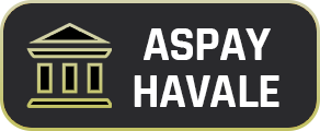 Aspay Havale